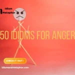 Idioms For Anger