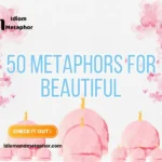 Metaphors For Beautiful