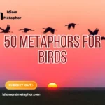 Metaphors For Birds