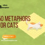 Metaphors For Cats