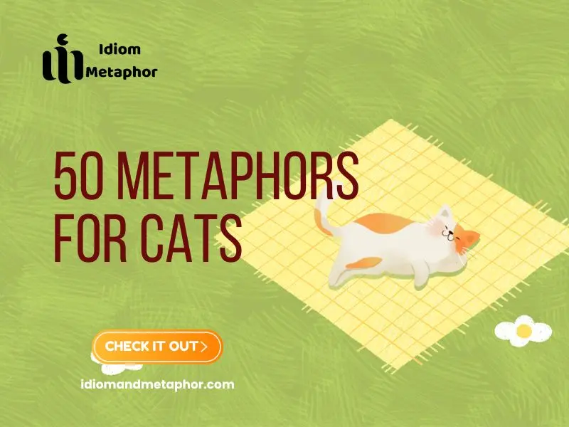 Metaphors For Cats