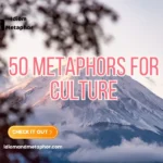 Metaphors For Culture