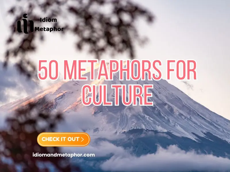 Metaphors For Culture