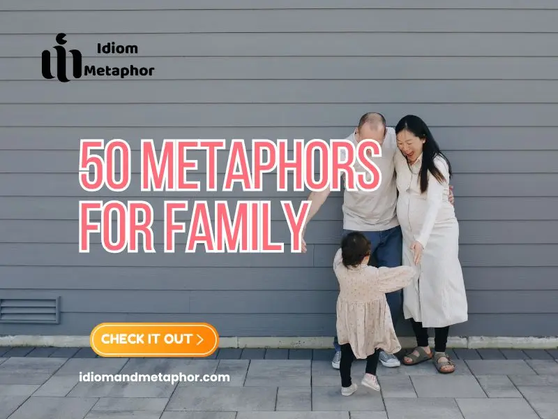 Metaphors For Family