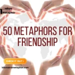Metaphors For Friendship