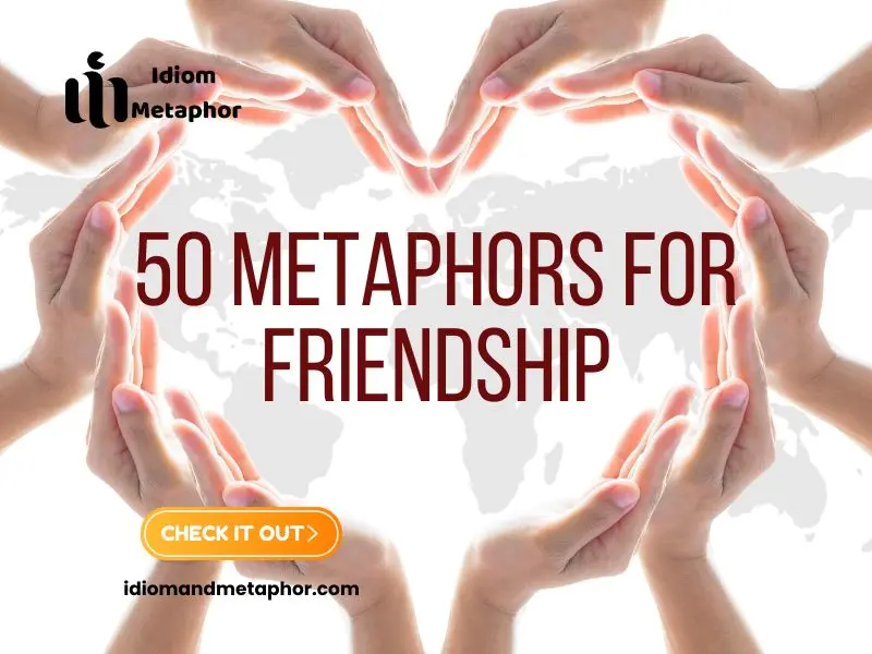 Metaphors For Friendship