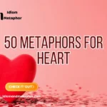 Metaphors For Heart