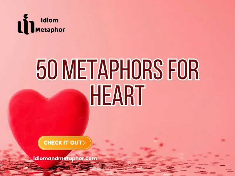 Metaphors For Heart