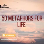 Metaphors For Life