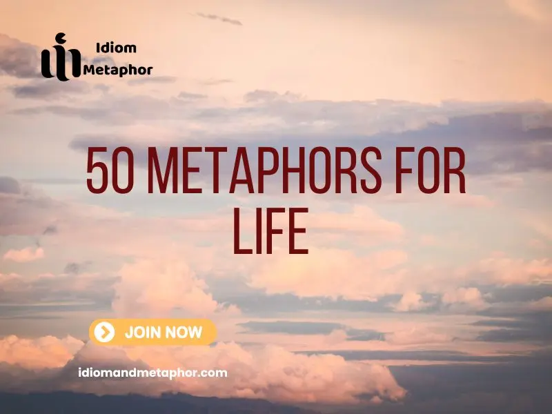 Metaphors For Life