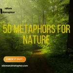 Metaphors For Nature
