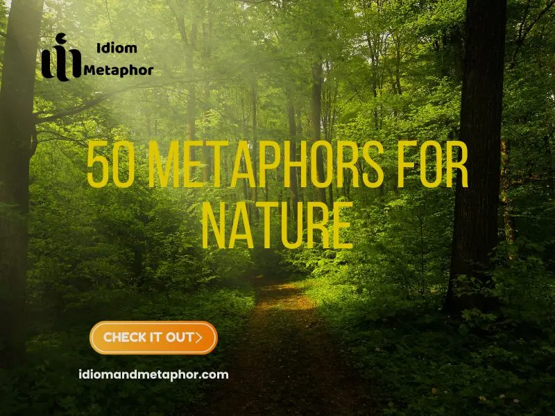 Metaphors For Nature