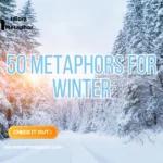 Metaphors For Winter