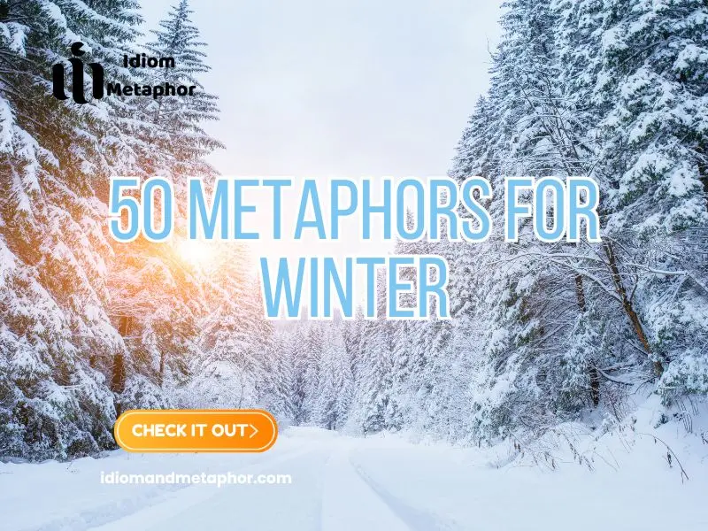 Metaphors For Winter