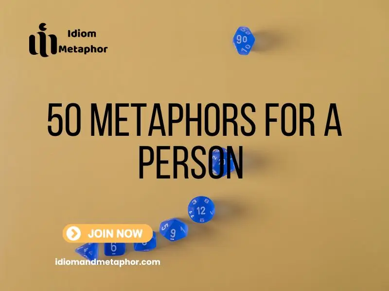 Metaphors For A Person
