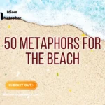 Metaphors For The Beach