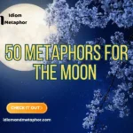 Metaphors For The Moon