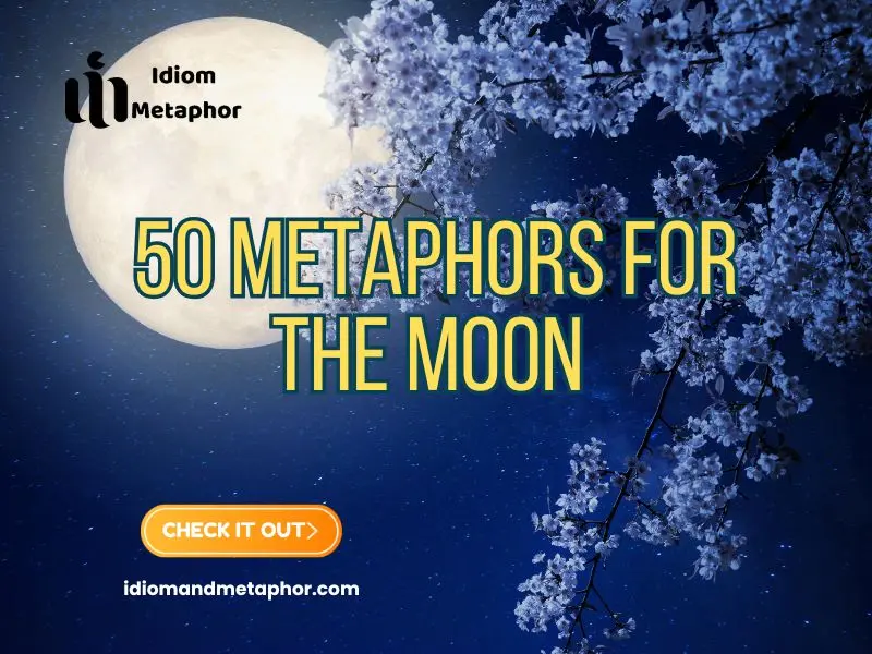 Metaphors For The Moon