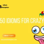Idioms For Crazy