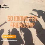 Idioms For Friendship