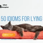 Idioms For Lying