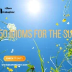 Idioms For The Sun