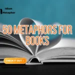Metaphors For Books