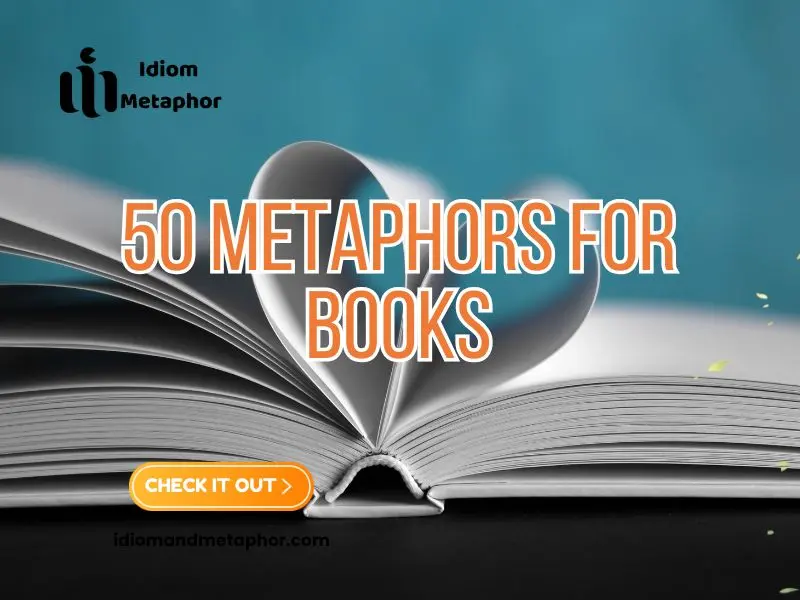 Metaphors For Books