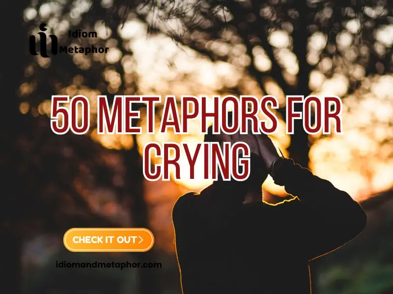 Metaphors For Crying