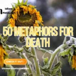 Metaphors For Death