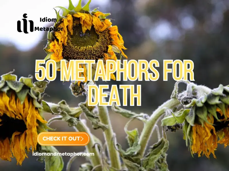 Metaphors For Death