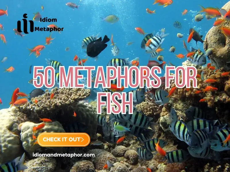 Metaphors For Fish