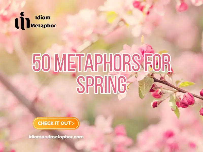 Metaphors For Spring