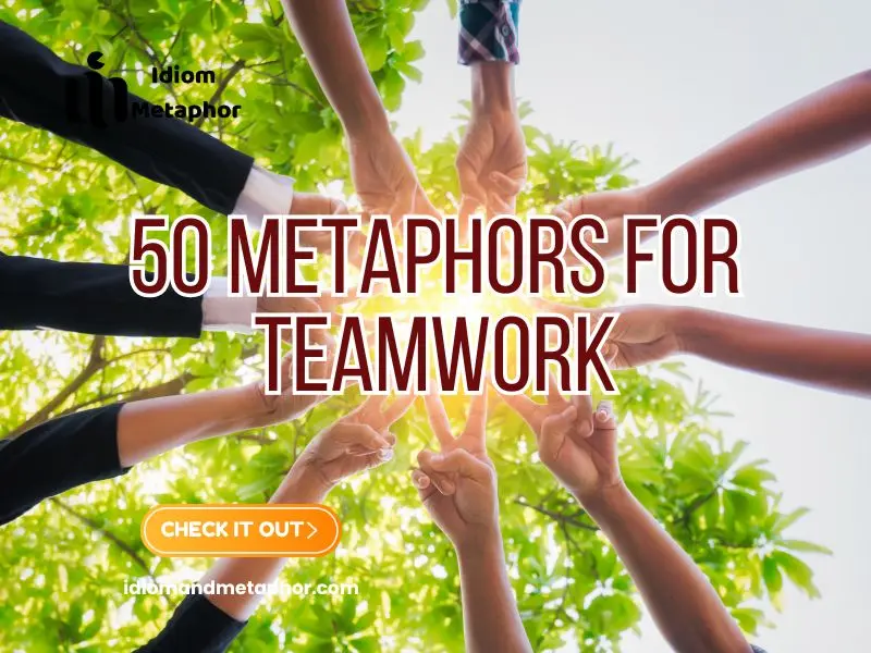 Metaphors For Teamwork