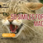 Similes For Mad