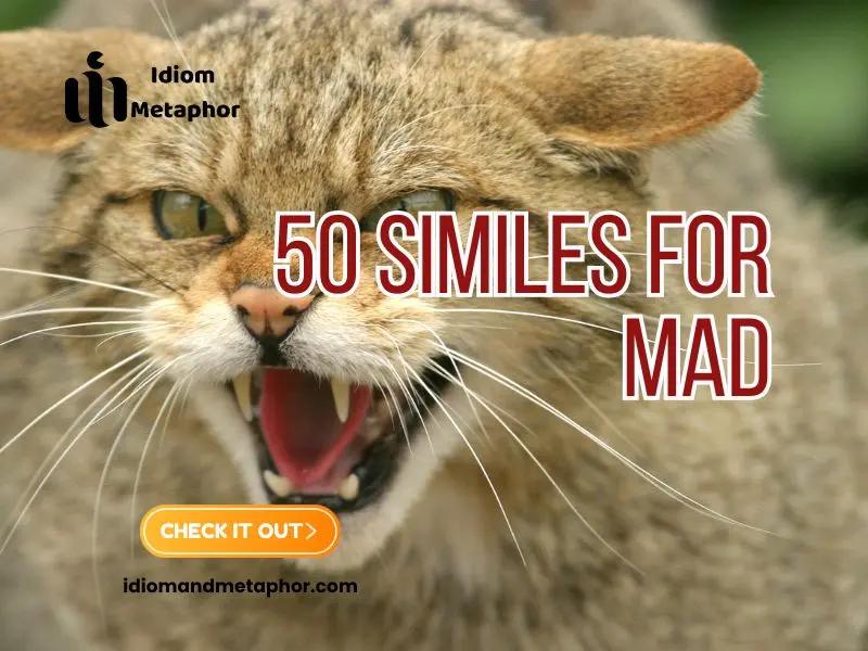 Similes For Mad