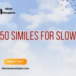 Similes For Slow