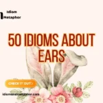 Idioms About Ears