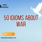 Idioms About War