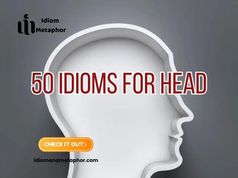 Idioms For Head