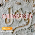 Idioms For Joy