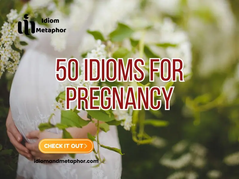 Idioms For Pregnancy
