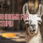 Idioms For Stupid