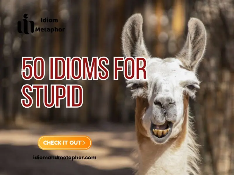 Idioms For Stupid