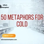 Metaphors For Cold