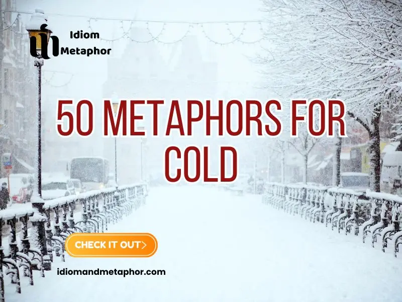 Metaphors For Cold