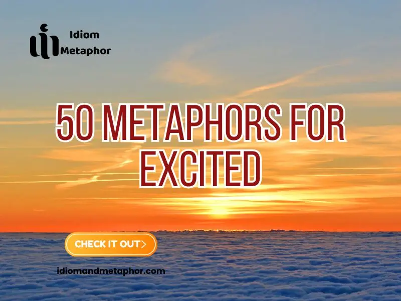 Metaphors For Excited