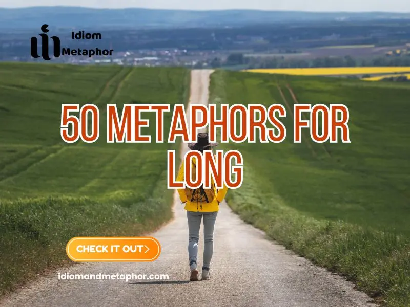 Metaphors For Long