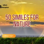 Similes For Nature