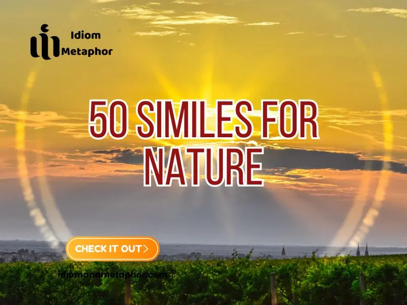 Similes For Nature